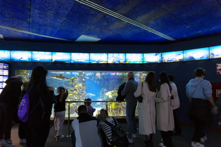 BARCELONA, SPAIN, January 03, 2024: Tanks with marine creatures inside the Barcelona aquarium, Spainの写真素材