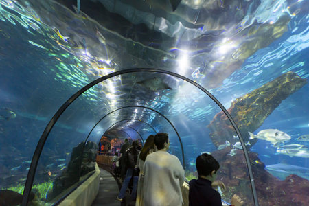 BARCELONA, SPAIN, January 03, 2024: Tanks with marine creatures inside the Barcelona aquarium, Spainの写真素材
