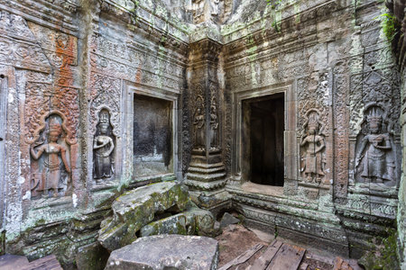 Giant tree roots grow over the ancient structures of Ta Prohm templeの写真素材