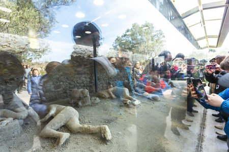 POMPEII, ITALY 2025, March 02: Tourists observe a plaster cast of a human victim preserved from the eruption of Mount Vesuvius at the archaeological site of Pompeii, Italyの写真素材