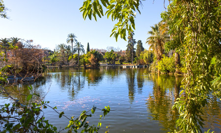 Parc de la Ciutadella is a beautiful public park in Barcelona, featuring lush gardens, a serene lake, impressive fountains, and historical monuments, offering a peaceful retreat in the heart of the cityの写真素材