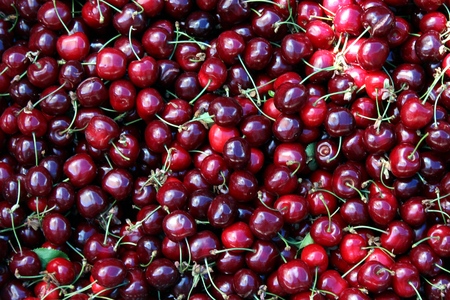 Cherries delicious seasonal summer fruitsの写真素材