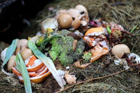 	Compost - a natural fertilizer and ecological use of kitchen waste