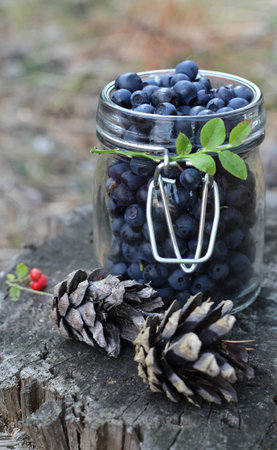 	Fresh blueberriesの写真素材