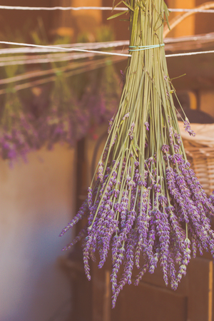 Drying lavender - A bouquet of lavender hanging on a cordの写真素材