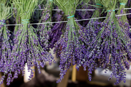 Drying lavender bouquetsの写真素材