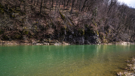 A panoramic shot of a mountain river in the middle of the forest