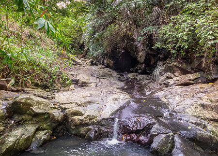 Small creek in the jungle of Maluku, Indonesiaの写真素材