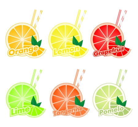 Colorful set of cut slices of citrus fruits with colorful two straws and green leaf of orange, lime, grapefruit, tangerine, lemon and pomelo. Mixed fresh health fruit.のイラスト素材