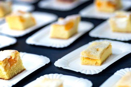 Slices of cheese cake on a white plate on a black backgroundの写真素材