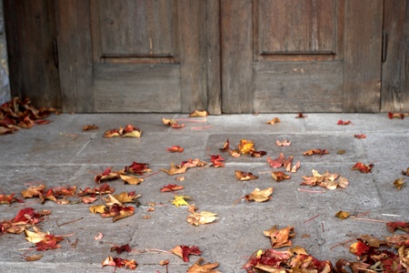 Autumn leaves