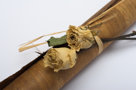 old papyrus scroll in roll with ribbon