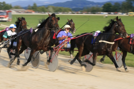  Harness Racingのeditorial素材