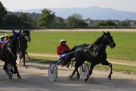 Harness Racingのeditorial素材