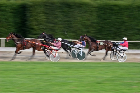 Harness Racingのeditorial素材