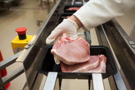 Raw cut meat の写真素材