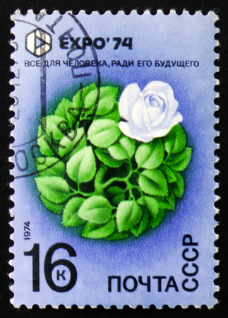 MOSCOW, RUSSIA - FEBRUARY 12, 2017: A stamp printed in Russia, shows Flower, EXPO 74, circa 1974の写真素材