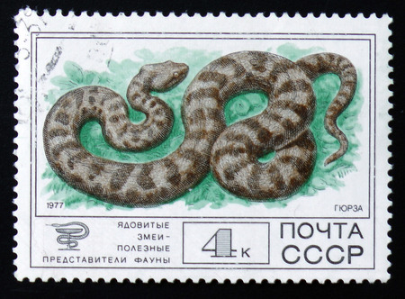MOSCOW, RUSSIA - FEBRUARY 12, 2017: A Stamp printed in the USSR shows a series of images