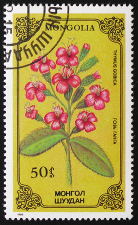 MOSCOW, RUSSIA - FEBRUARY 19, 2017: A stamp printed in Mongolia shows Thymus gobica, series devoted to flowers, circa 1986のeditorial素材