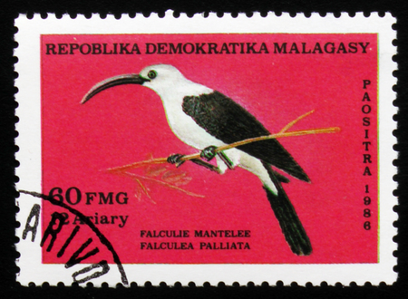 MOSCOW, RUSSIA - FEBRUARY 19, 2017:  A stamp printed in Malagasy (Madagascar) shows Falculea palliata, circa 1986の写真素材