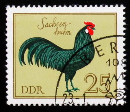 A Stamp shows image of a rooster Saxony cock from the seriesの写真素材