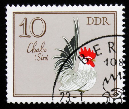 A Stamp shows the image of a rooster Chabo Cock from the seriesの写真素材