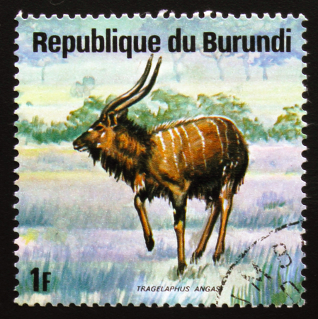 MOSCOW, RUSSIA - FEBRUARY 19, 2017: A stamp printed by Burundi shows nyala (Tragelaphus angasii), also called the indian antelope, series Animals Burundi, circa 1975のeditorial素材