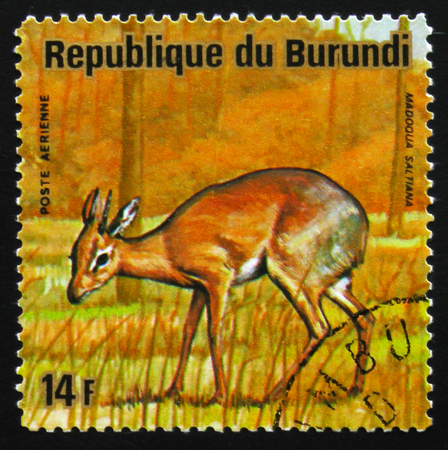 MOSCOW, RUSSIA - FEBRUARY 19, 2017: A stamp printed by Burundi shows Salt's dik-dik (Madoqua saltiana), series Animals Burundi, circa 1975のeditorial素材