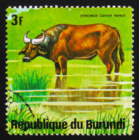 MOSCOW, RUSSIA - FEBRUARY 19, 2017: A stamp printed by Burundi shows African forest buffalo (Syncerus caffer nanus), series Animals Burundi, circa 1975のeditorial素材