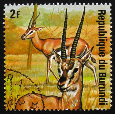 MOSCOW, RUSSIA - FEBRUARY 19, 2017: A stamp printed by Burundi shows Thomson's gazelle (Eudorcas thomsonii), series Animals Burundi, circa 1975のeditorial素材