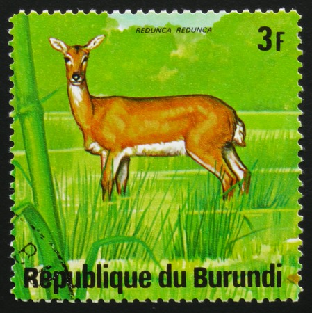 MOSCOW, RUSSIA - FEBRUARY 19, 2017: A stamp printed by Burundi shows antelope bohor reedbuck (Redunca redunca), series Animals Burundi, circa 1975のeditorial素材
