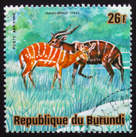 MOSCOW, RUSSIA - FEBRUARY 19, 2017: A stamp printed by Burundi shows antelope Sitatunga or marshbuck (Tragelaphus spekii), series Animals Burundi, circa 1975のeditorial素材