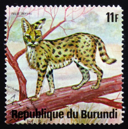 MOSCOW, RUSSIA - FEBRUARY 19, 2017: A stamp printed by Burundi shows wild cat serval (Leptailurus serval), or tierboskat, series Animals Burundi, circa 1975のeditorial素材