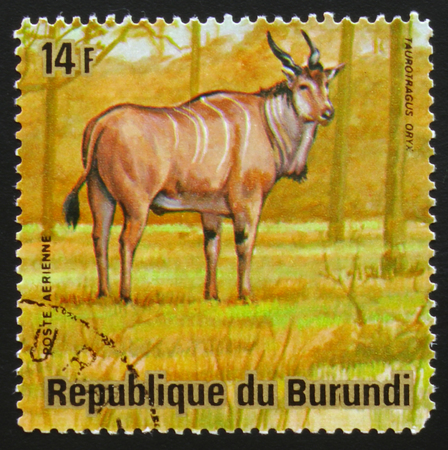 MOSCOW, RUSSIA - FEBRUARY 19, 2017: A stamp printed by Burundi shows Eland antelope (Taurotragus oryx), series Animals Burundi, circa 1975のeditorial素材