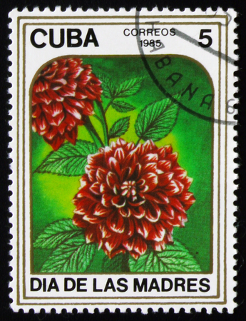 MOSCOW, RUSSIA - FEBRUARY 19, 2017: A post stamp printed in Cuba shows Dahlias flower from Mothers day series, circa 1985のeditorial素材