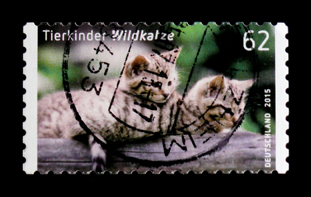 MOSCOW, RUSSIA - OCTOBER 21, 2017: A stamp printed in German Federal Republic shows Wildcat (Felis...