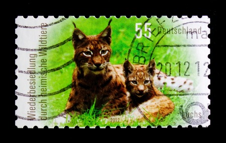 MOSCOW, RUSSIA - OCTOBER 21, 2017: A stamp printed in German Federal Republic shows Eurasian Lynx (Lynx lynx), Recolonization by native wildlife serie, circa 2012のeditorial素材