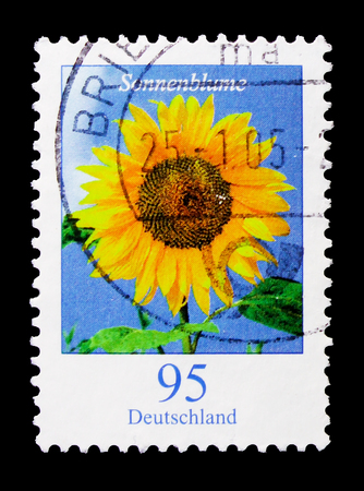 MOSCOW, RUSSIA - OCTOBER 21, 2017: A stamp printed in German Federal republic shows Flowers - Sonnenblume (Sunflower), serie, circa 2005のeditorial素材