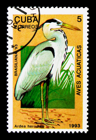 MOSCOW, RUSSIA - NOVEMBER 25, 2017: A stamp printed in Cuba shows Great Blue Heron (Ardea herodias), International Stamp Exhibition BRASILIANA '93 serie, circa 1993のeditorial素材