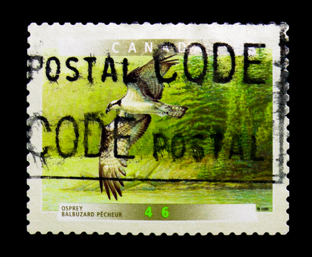 MOSCOW, RUSSIA - NOVEMBER 24, 2017: A stamp printed in Canada shows Osprey (Pandion haliaetus), Birds of Canada (5th series) serie, circa 2000のeditorial素材