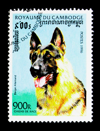 MOSCOW, RUSSIA - NOVEMBER 24, 2017: A stamp printed in Cambodia shows German Shepherd (Canis lupus familiaris), Dogs serie, circa 1996のeditorial素材