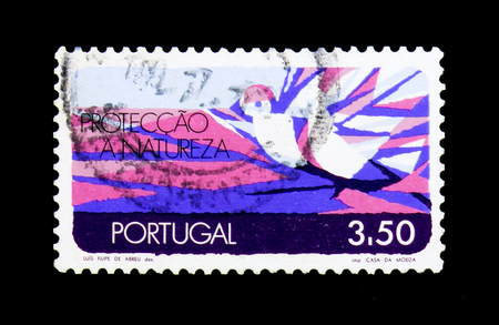 MOSCOW, RUSSIA - NOVEMBER 24, 2017: A stamp printed in Portugal shows Two Pigeons (Air), Protection of Nature serie, circa 1971のeditorial素材