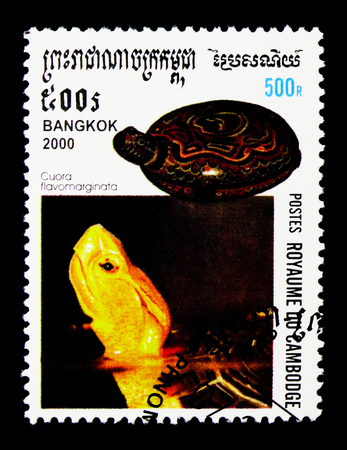 MOSCOW, RUSSIA - NOVEMBER 24, 2017: A stamp printed in Cambodia shows Yellow-margined Box Turtle (Cuora flavomarginata), International Stamp Exhibition BANGKOK 2000: Turtles serie, circa 2000のeditorial素材