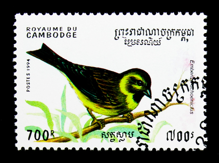 MOSCOW, RUSSIA - NOVEMBER 24, 2017: A stamp printed in Cambodia shows Common Reed Bunting (Emberiza schoeniclus), serie, circa 1994のeditorial素材