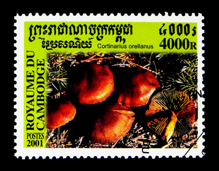 MOSCOW, RUSSIA - NOVEMBER 24, 2017: A stamp printed in Cambodia shows Cortinarius Orellanus, Mushroom serie, circa 2001のeditorial素材