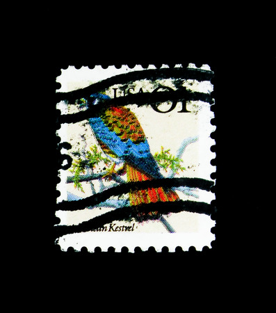 MOSCOW, RUSSIA - NOVEMBER 24, 2017: A stamp printed in USA shows American Kestrel (Falco sparverius), Flora and Fauna Issue serie, circa 1991のeditorial素材