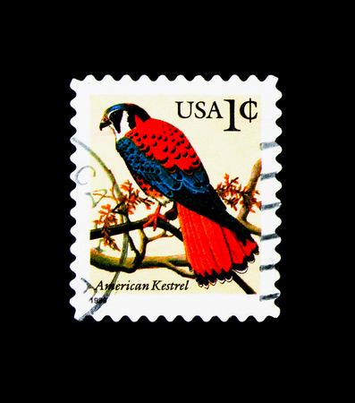 MOSCOW, RUSSIA - NOVEMBER 24, 2017: A stamp printed in USA shows American Kestrel (Falco...