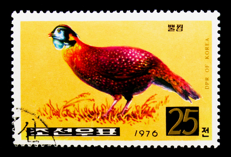 MOSCOW, RUSSIA - NOVEMBER 24, 2017: A stamp printed in Democratic People's republic of Korea shows Temmincks Tragopan (Tragopan temminckii), Pheasants serie, circa 1976のeditorial素材