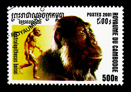 MOSCOW, RUSSIA - NOVEMBER 24, 2017: A stamp printed in Cambodia shows Australopithecus boisei,...