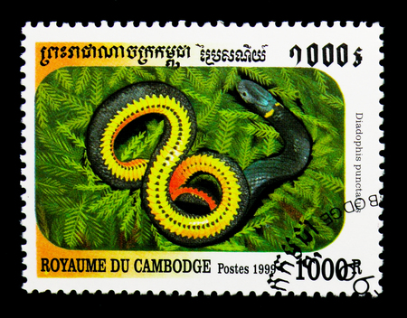 MOSCOW, RUSSIA - NOVEMBER 24, 2017: A stamp printed in Cambodia shows Ring-necked Snake (Diadophis punctatus), Snakes of Cambodia serie, circa 1999のeditorial素材